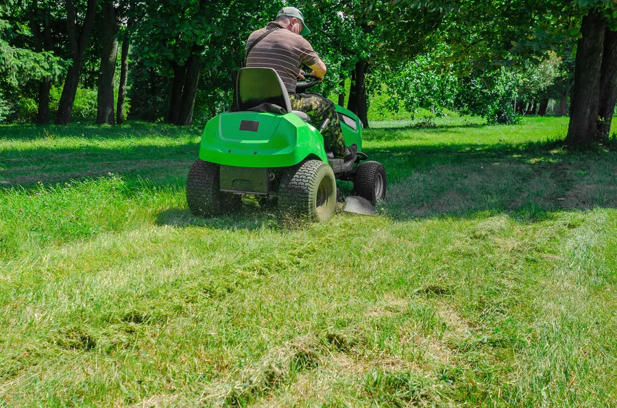 Mies ajaa ajettavaa ruohonleikkuria pitkin hoidettua nurmikkoa, ympärillä kauniita puutarhapuistomaisemia.